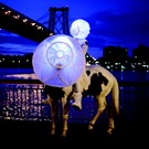 The Placeless Place (Video Still), Williamsburg Bridge